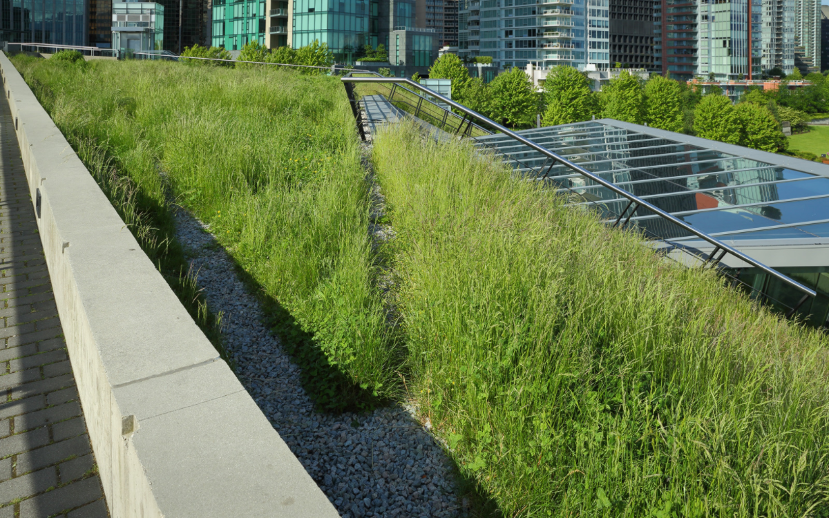 Green Roof